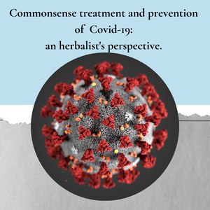 Commonsense prevention and treatment for Covid-19: an Herbalist's perspective
