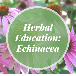 Herbal Education: Echinacea