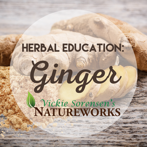 Herbal Education: Ginger