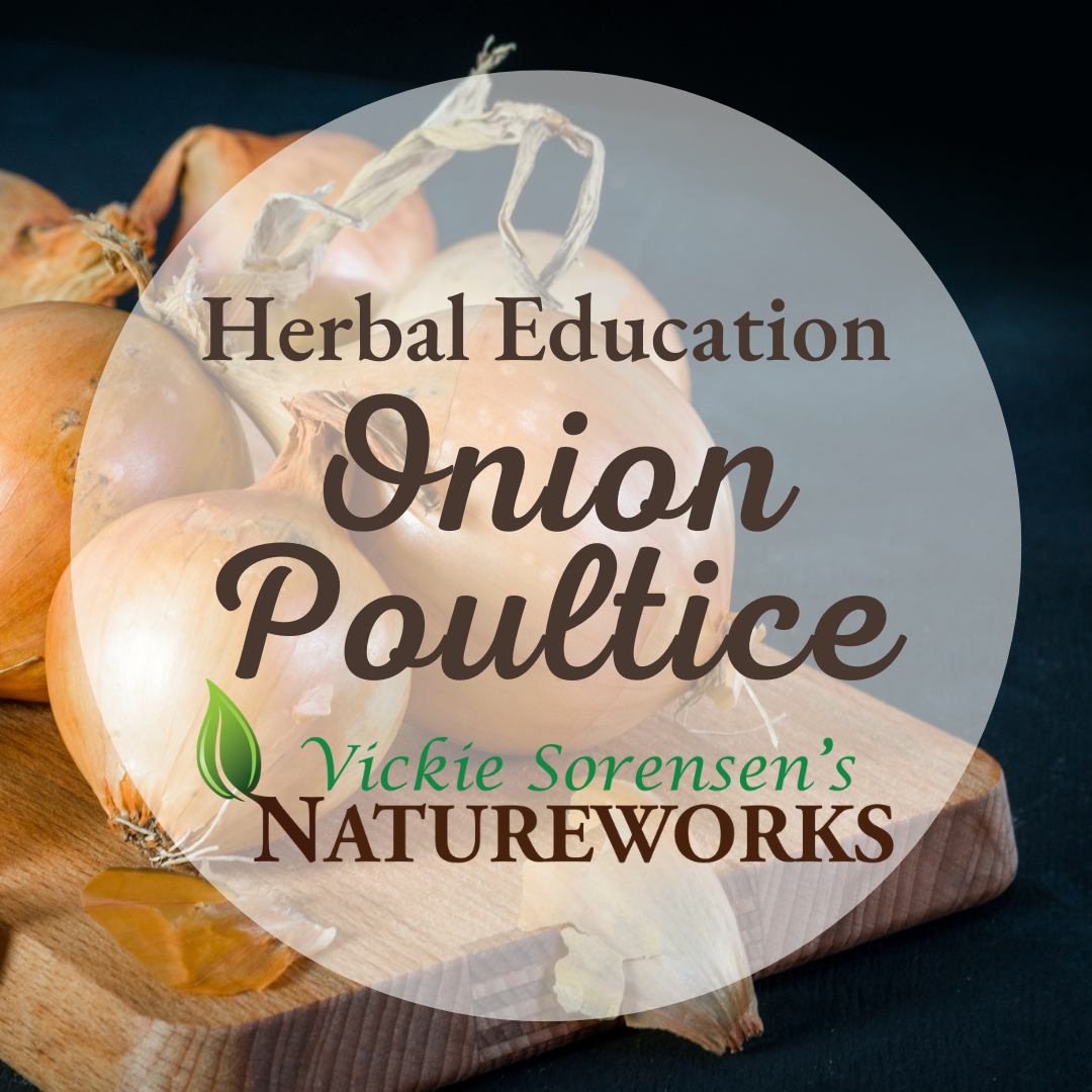 Herbal Education: Onion Poultice