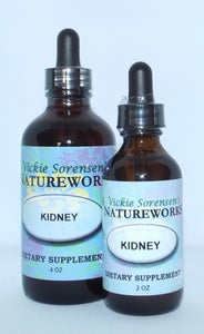 Kidney